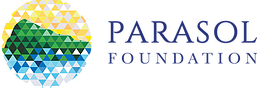 Parasol Foundation Ukraine leadership program